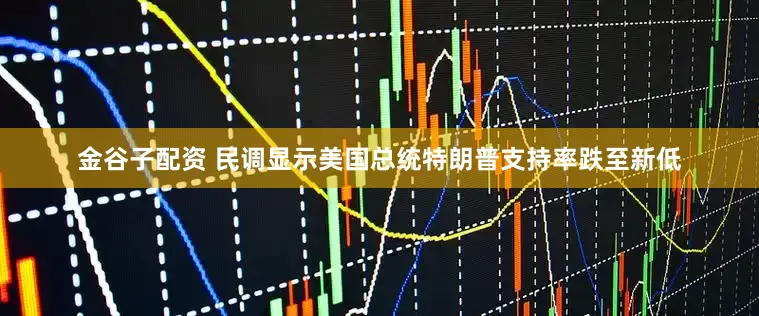 金谷子配资 民调显示美国总统特朗普支持率跌至新低