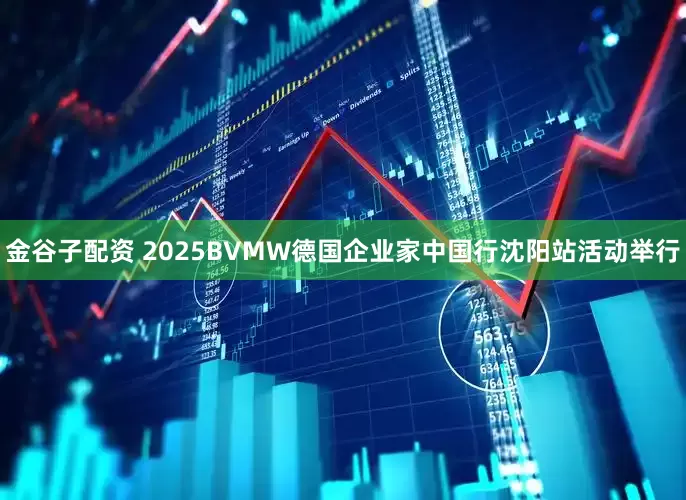 金谷子配资 2025BVMW德国企业家中国行沈阳站活动举行