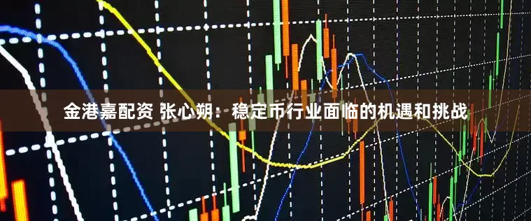 金港嘉配资 张心朔:稳定币行业面临的机遇和挑战