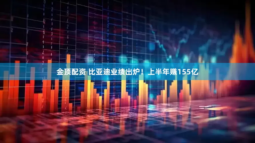 金顶配资 比亚迪业绩出炉！上半年赚155亿