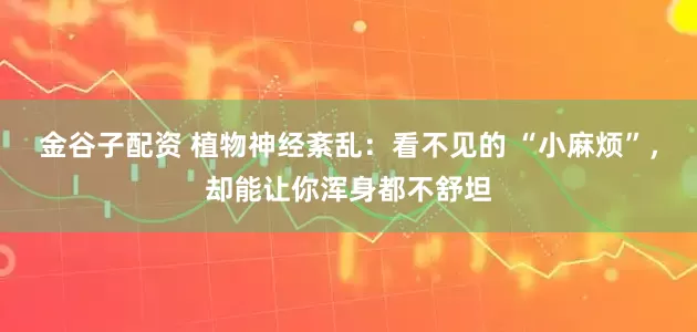金谷子配资 植物神经紊乱：看不见的 “小麻烦”，却能让你浑身都不舒坦