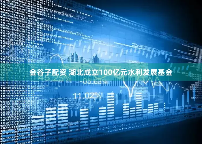 金谷子配资 湖北成立100亿元水利发展基金
