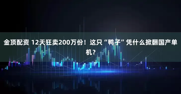 金顶配资 12天狂卖200万份！这只“鸭子”凭什么掀翻国产单机？