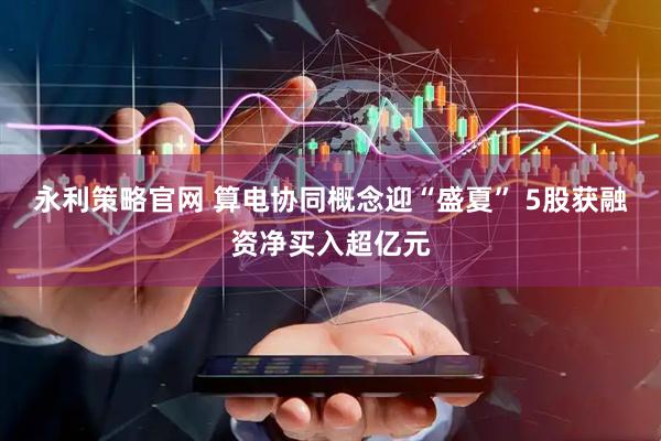永利策略官网 算电协同概念迎“盛夏” 5股获融资净买入超亿元
